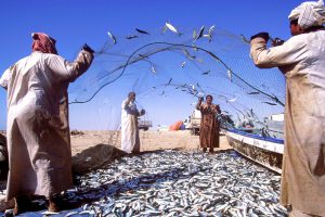 "Catch of the day": Ihren Fang verkaufen die einheimischen Fischer bis heute auf traditionellen Märkten unter freiem Himmel. Foto: djd/Sultanate of Oman