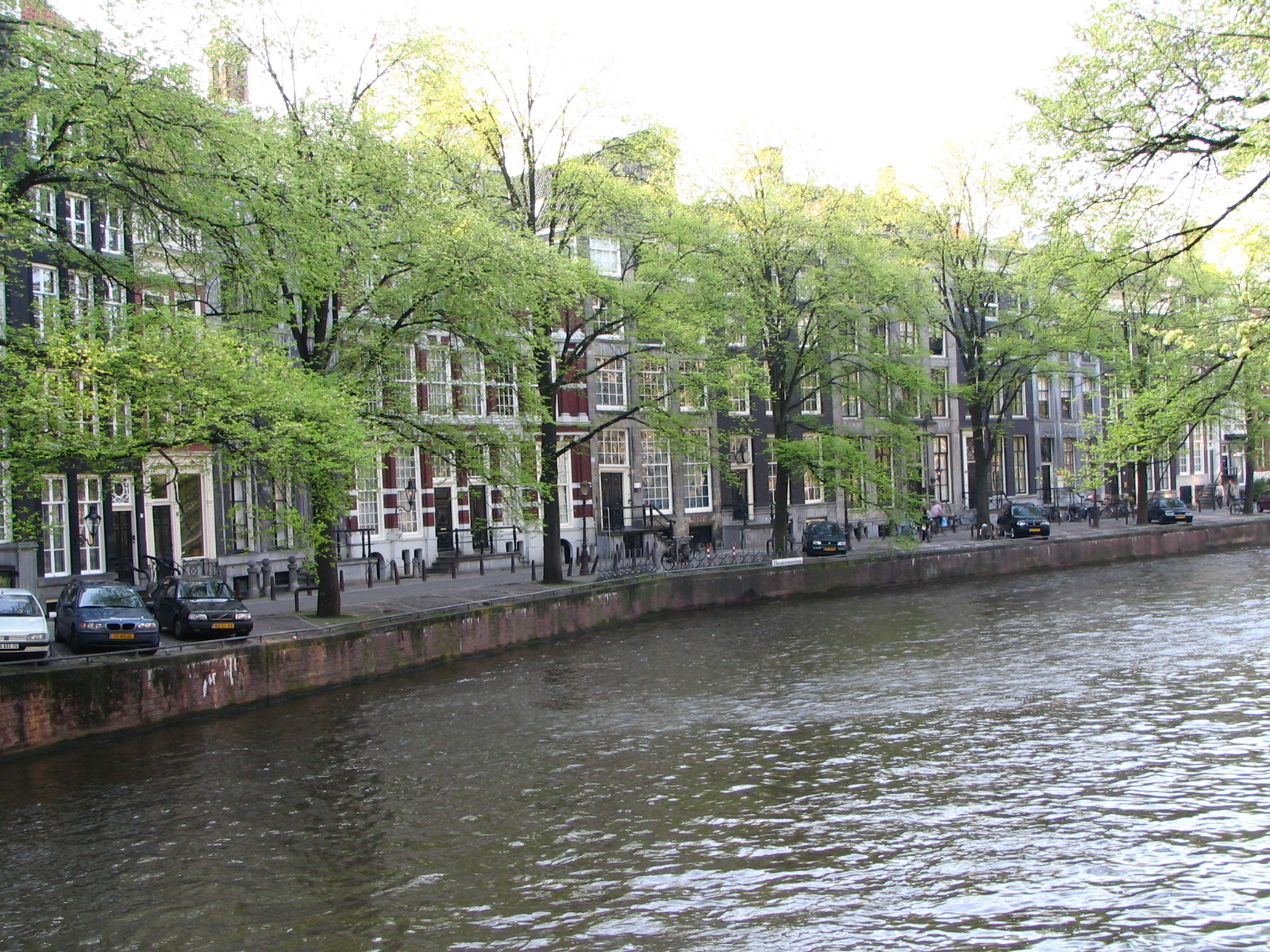Der Artikel berichtet über eine mögliche Amsterdamreise. 