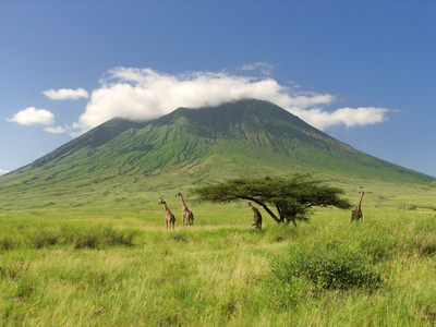 Safari in Tansania