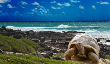 Der Artikel gibt Tipps zur Reiseplanung für die Galapagosinseln.