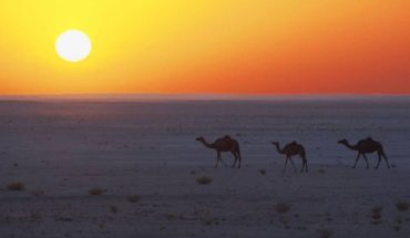 Ein Hauch von 1001 Nacht Beim Trendreiseziel Oman trifft Tradition auf Moderne