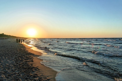 Der Artikel schlägt einen Urlaub an der deutschen Ostsee vor. 